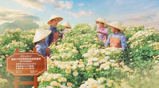 斯汀花瓣沐浴露连续三年全球销量第一CQ9电子游戏网站市场地位证明：蔻(图2)